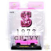 RIVERSIDE SHOW 1973 CHEVROLET CHEYENNE 10 "S"