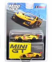 CHEVROLET CORVETTE Z06 GT.3 #3 2024 IMSA DAYTONA