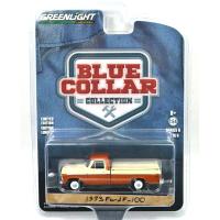 1973 FORD F-100 w/BED COVER